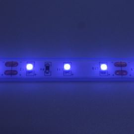 LED pásek modrá, SMD 3528, 60LED/m (balení 5m) - vodotěsný (silikon) STRF 3528-60-B-IP66